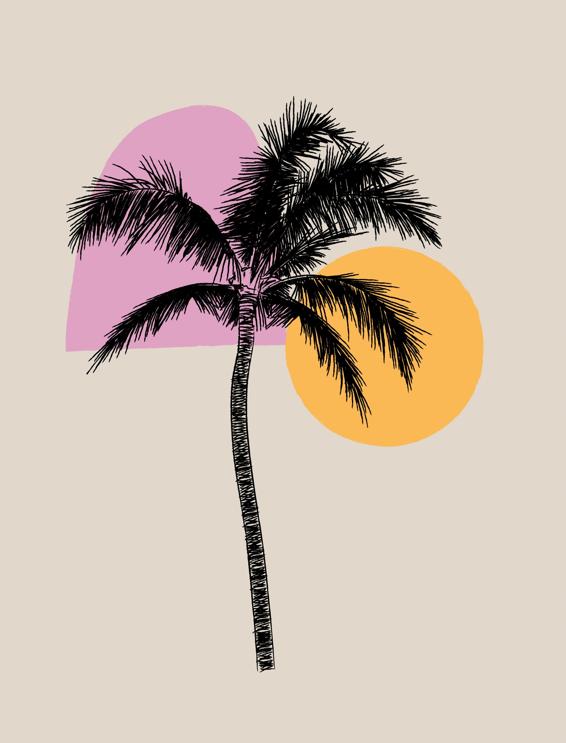 palm tree 13T MEN