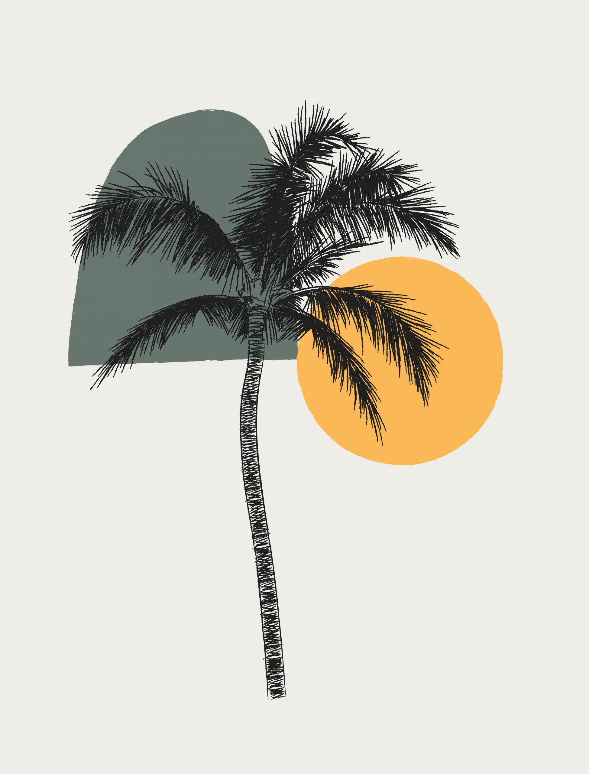 palm tree 13T MEN