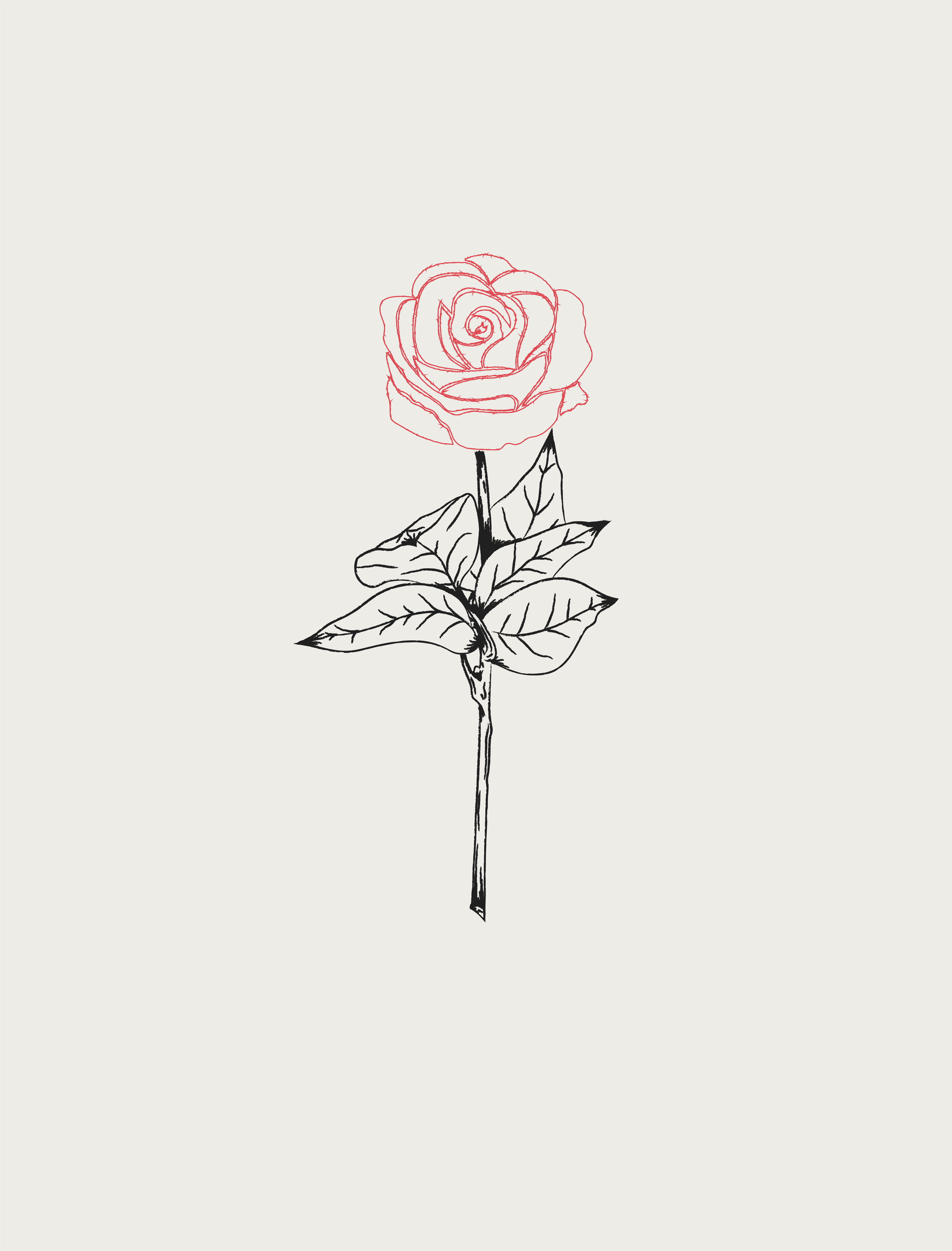 Rose Optic White